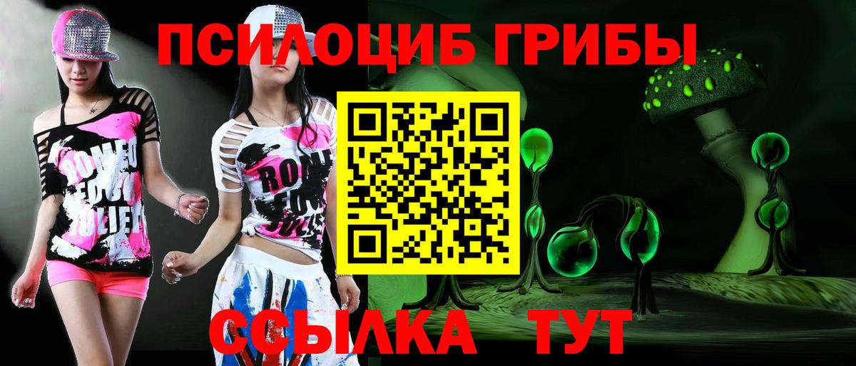 Псилоцибиновые грибы MAGIC MUSHROOMS  Галлюциногенные грибы прущие грибы  Медногорск  наркошоп  Вход с VPN 