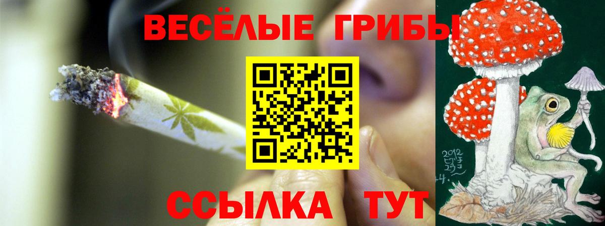 Лсд 25  ГАШИШ  Бошки Шишки  Alpha PVP СК кристаллы  Экстази  Медногорск  Меф МЯУ МЯУ кристаллы  Вход с VPN 
